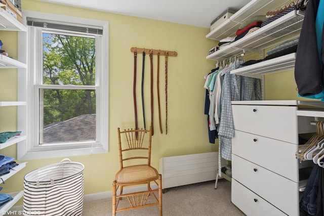 2558 W Cullom Ave, Chicago, IL 60618 - walk in closet featuring carpet