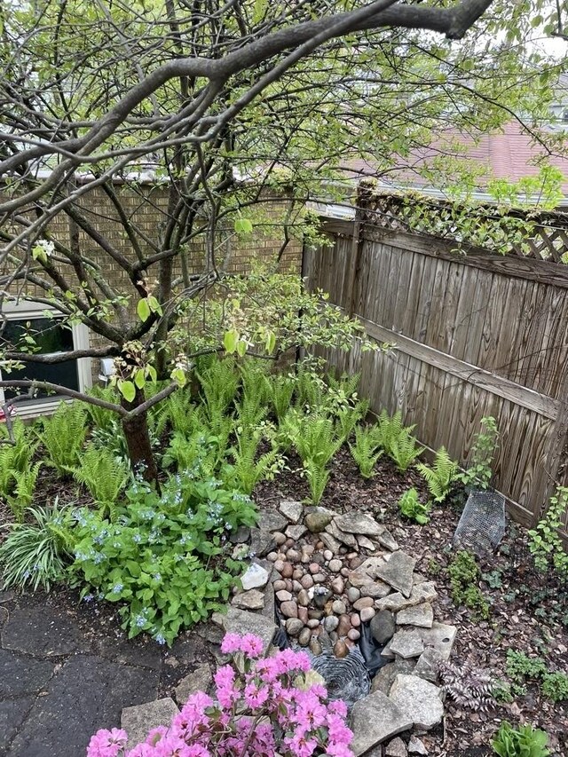 2558 W Cullom Ave, Chicago, IL 60618 - view of yard
