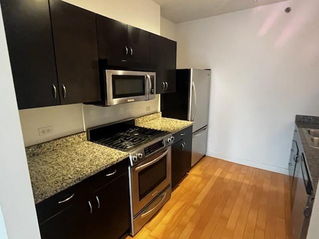 8 E Randolph St Unit 3206, Chicago, IL 60601 - kitchen featuring stainless steel appliances, dark cabinetry, light wood-style flooring, and light stone counters