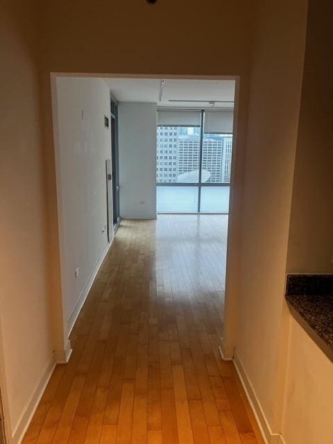 8 E Randolph St Unit 3206, Chicago, IL 60601 - hallway with light wood-style floors and baseboards
