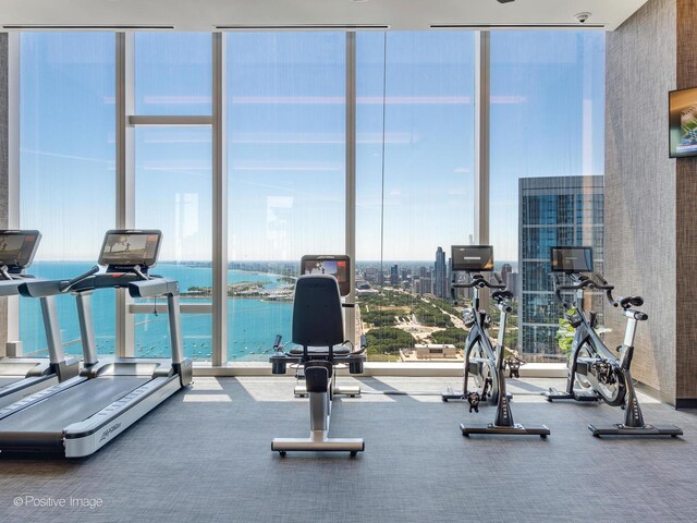 363 E Wacker Dr Unit 6301, Chicago, IL 60601 - exercise room with expansive windows and carpet floors