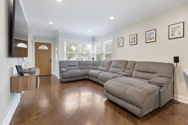 889 S Golf Cul De Sac St, Des Plaines, IL 60016 - living area featuring dark wood-style floors, crown molding, and recessed lighting