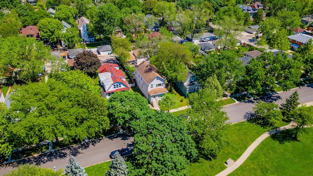 1032 S Maple Ave, Oak Park, IL 60304 - aerial perspective of suburban area with a tree filled landscape