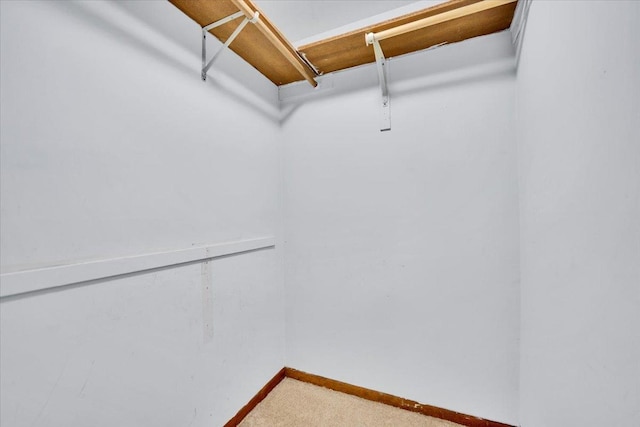 901 E Ardyce Ln, Mount Prospect, IL 60056 - spacious closet featuring carpet flooring