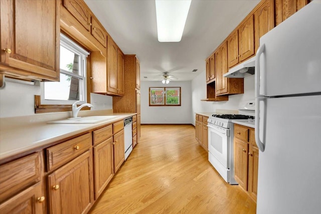 901 E Ardyce Ln, Mount Prospect, IL 60056 - kitchen featuring white appliances, under cabinet range hood, light countertops, light wood finished floors, and ceiling fan