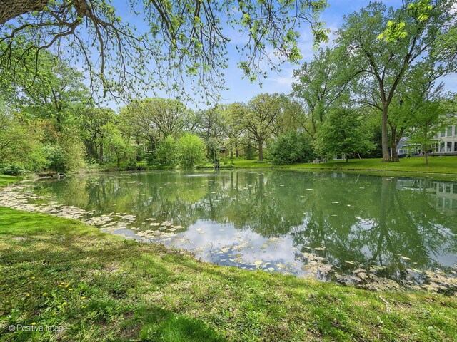 28W051 Timber Ln, West Chicago, IL 60185 - photo 30