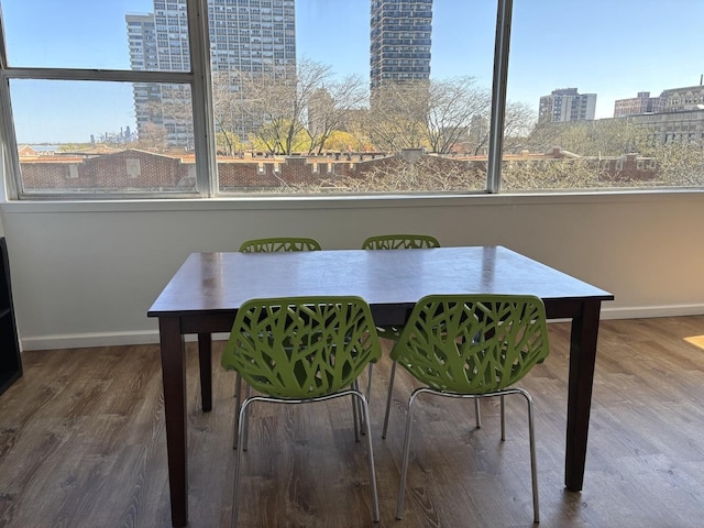 6301 N Sheridan Rd Unit 5H, Chicago, IL 60660 - dining room with a city view, wood finished floors, and plenty of natural light