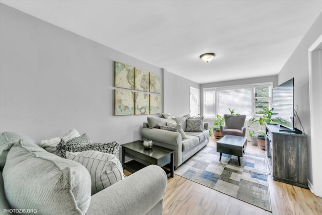 10002 S Torrence Ave, Chicago, IL 60617 - living room featuring light wood-style flooring