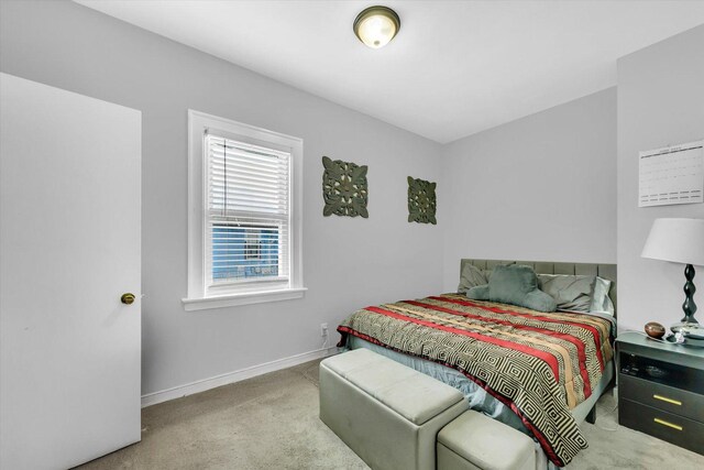 10002 S Torrence Ave, Chicago, IL 60617 - bedroom with carpet floors and baseboards