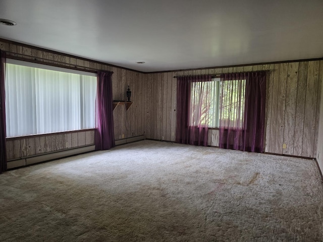 4247 W Church Rd, Beecher, IL 60401 - empty room with carpet, baseboard heating, and wood walls