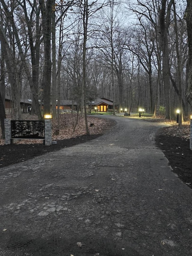 775 Thornmeadow Rd, Riverwoods, IL 60015 - view of asphalt driveway