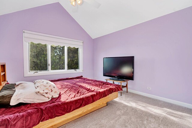 13121 Wood Duck Dr, Plainfield, IL 60585 - photo 35