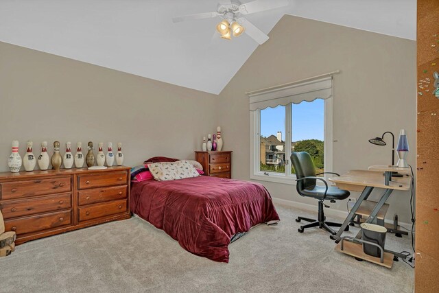 13121 Wood Duck Dr, Plainfield, IL 60585 - photo 38