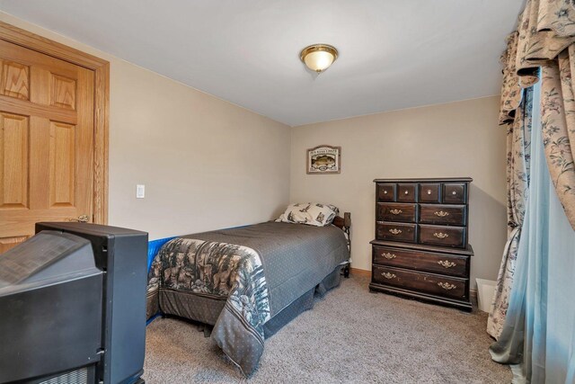 13121 Wood Duck Dr, Plainfield, IL 60585 - photo 48