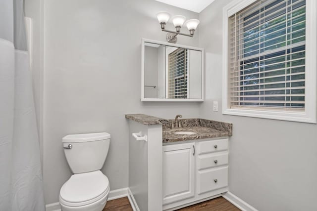 610 W S St, Plano, IL 60545 - full bath featuring vanity, wood finished floors, and a shower with shower curtain