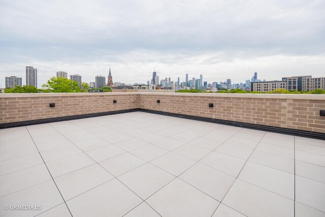 1812 N Howe St Unit Ph, Chicago, IL 60614 - view of patio / terrace featuring a view of skyline