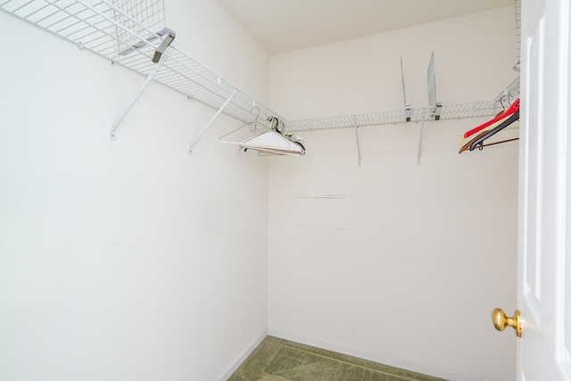 343 White Hawk Way, Manteno, IL 60950 - spacious closet featuring light carpet