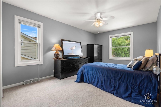 140 Amherst Dr, Bartlett, IL 60103 - bedroom with carpet flooring and a ceiling fan