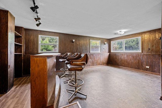 304 Dean Cir, Bolingbrook, IL 60440 - indoor dry bar with wooden walls, plenty of natural light, and rail lighting