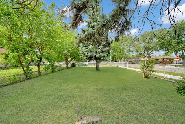 4501 S Kilpatrick Ave, Chicago, IL 60632 - view of yard