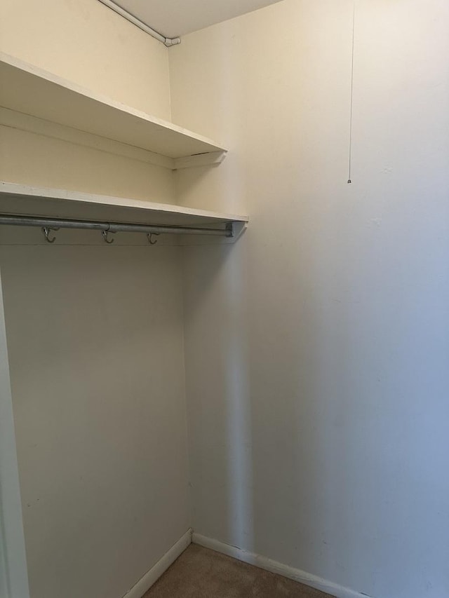 4800 S Chicago Beach Dr Unit 910S, Chicago, IL 60615 - walk in closet featuring carpet flooring
