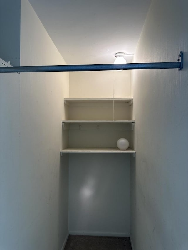 4800 S Chicago Beach Dr Unit 910S, Chicago, IL 60615 - view of closet