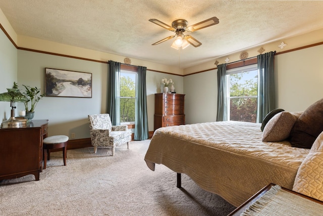 12002 Patterson Rd, Durand, IL 61024 - bedroom with multiple windows, light colored carpet, a textured ceiling, and ceiling fan