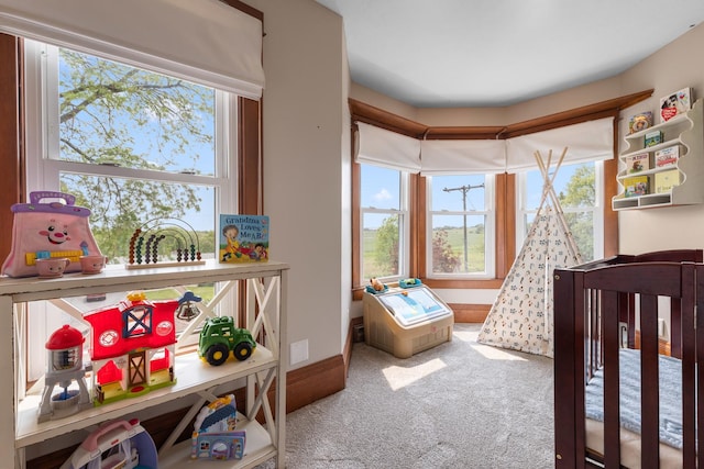 12002 Patterson Rd, Durand, IL 61024 - carpeted bedroom with a nursery area