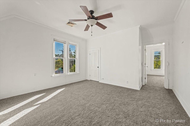 18 Madison St, Algonquin, IL 60102 - spare room with plenty of natural light, carpet floors, crown molding, and ceiling fan