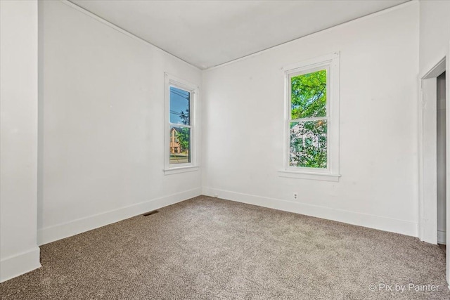 18 Madison St, Algonquin, IL 60102 - spare room with carpet flooring and baseboards