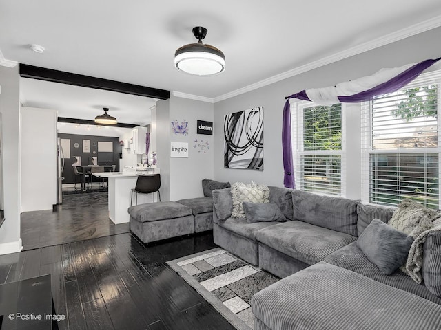 1246 Marengo Ave, Forest Park, IL 60130 - living room with dark wood finished floors and ornamental molding