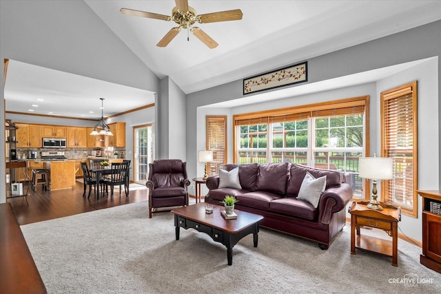 439 Camden Cir, Oswego, IL 60543 - living room featuring healthy amount of natural light, a ceiling fan, recessed lighting, high vaulted ceiling, and wood finished floors