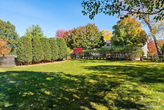 439 Camden Cir, Oswego, IL 60543 - view of yard