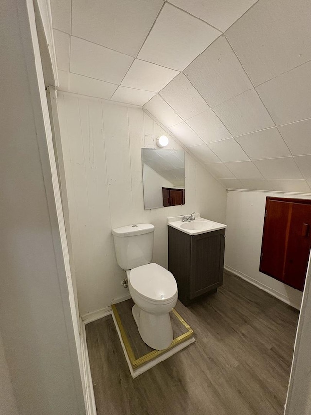 153 N Entrance Ave, Kankakee, IL 60901 - bathroom featuring wood finished floors, vanity, and vaulted ceiling