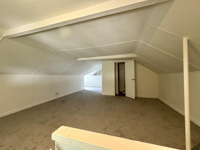 153 N Entrance Ave, Kankakee, IL 60901 - additional living space featuring carpet flooring and vaulted ceiling