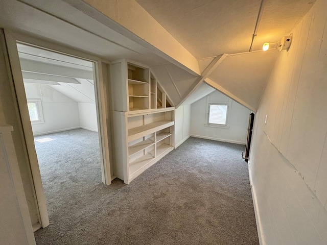153 N Entrance Ave, Kankakee, IL 60901 - additional living space with carpet floors, lofted ceiling, and healthy amount of natural light