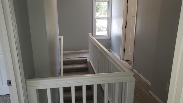 402 W Fulton St, Polo, IL 61064 - stairs featuring carpet flooring and baseboards