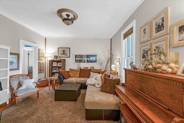320 E Locust St, Watseka, IL 60970 - living room with crown molding