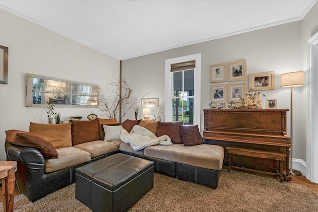 320 E Locust St, Watseka, IL 60970 - living area with ornamental molding and wood finished floors