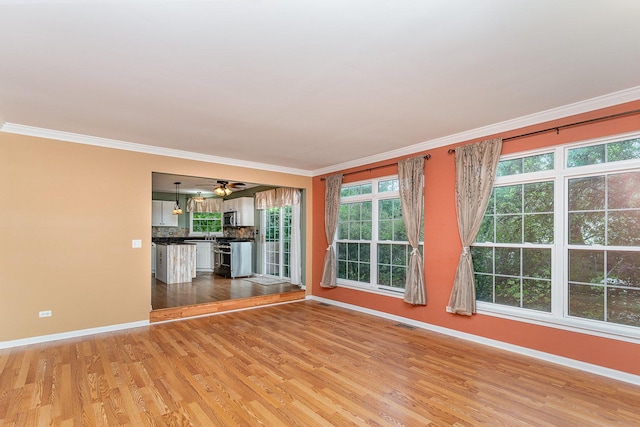 2015 Steward Ln, Plainfield, IL 60586 - unfurnished living room with baseboards, light wood-style flooring, crown molding, and plenty of natural light