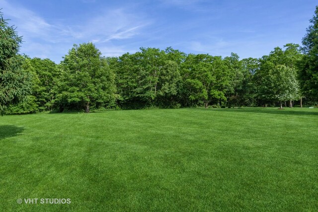 8820 Wilcox Ct, Newark, IL 60541 - view of green lawn with a wooded view