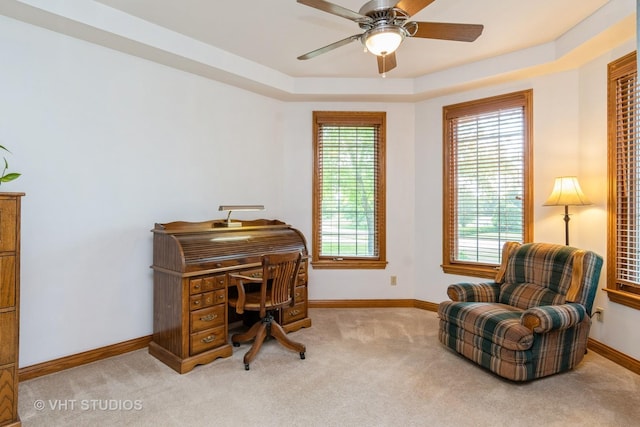 8820 Wilcox Ct, Newark, IL 60541 - carpeted office with plenty of natural light, ceiling fan, and a raised ceiling