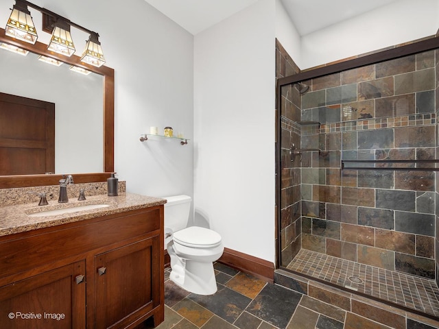 456 S Julian St, Naperville, IL 60540 - bathroom featuring vanity, a stall shower, and stone finish flooring