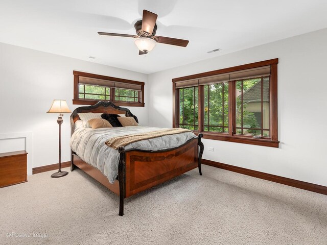 456 S Julian St, Naperville, IL 60540 - bedroom with carpet flooring and a ceiling fan