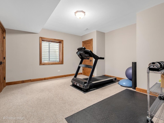 456 S Julian St, Naperville, IL 60540 - exercise area featuring baseboards and carpet floors