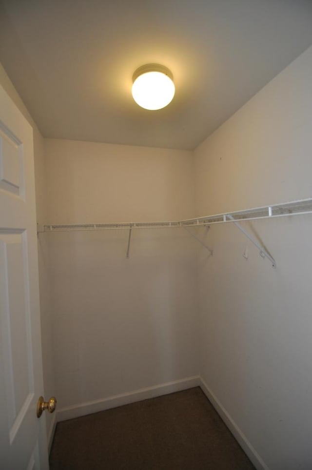 606 Reserve Ln, Joliet, IL 60431 - view of spacious closet