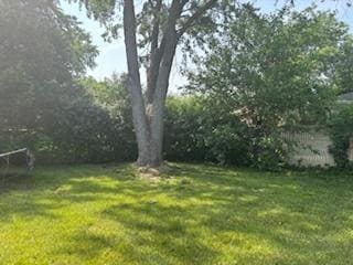 18644 Aberdeen St, Homewood, IL 60430 - view of grassy yard
