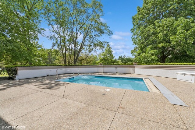 29026 N Brassie Ct, Ivanhoe, IL 60060 - view of swimming pool featuring a patio