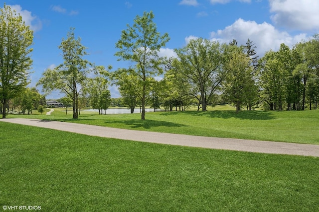 29026 N Brassie Ct, Ivanhoe, IL 60060 - view of community featuring a water view and a lawn