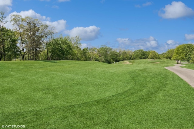 29026 N Brassie Ct, Ivanhoe, IL 60060 - view of home's community featuring view of scattered trees, golf course view, and a yard